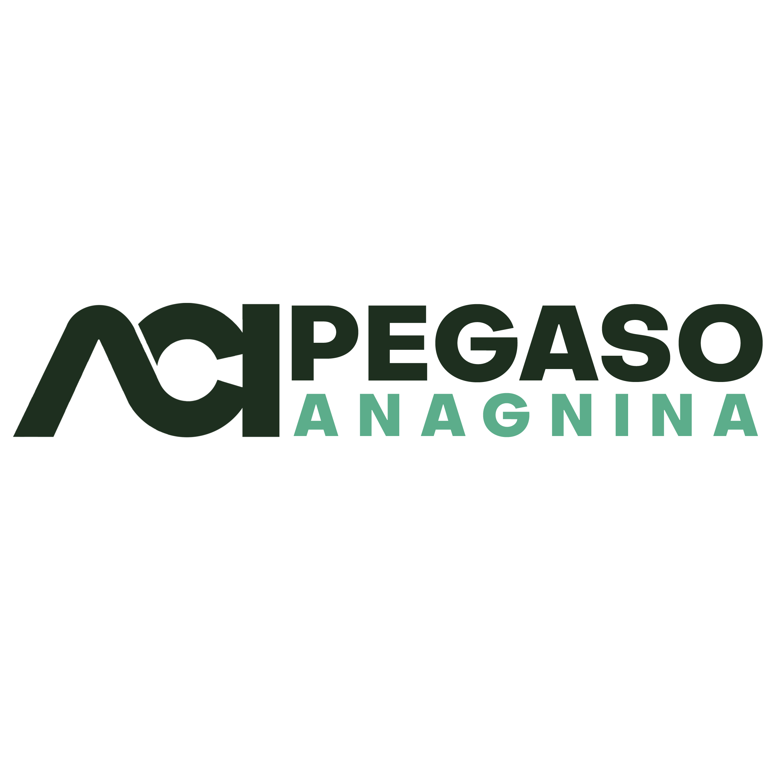 Aci Studio Pegaso - Anagnina